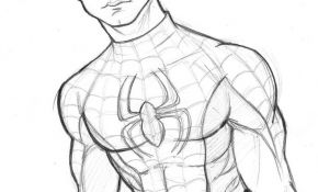 Coloriage Spider Man Inspiration 25 Best Ideas About Coloriage Spiderman On Pinterest