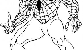 Coloriage Spiderman À Imprimer Gratuit Luxe Coloriage Spiderman Facile 47 Dessin Gratuit à Imprimer
