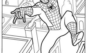 Coloriage Spiderman À Imprimer Gratuit Nice 167 Dessins De Coloriage Spiderman à Imprimer Sur