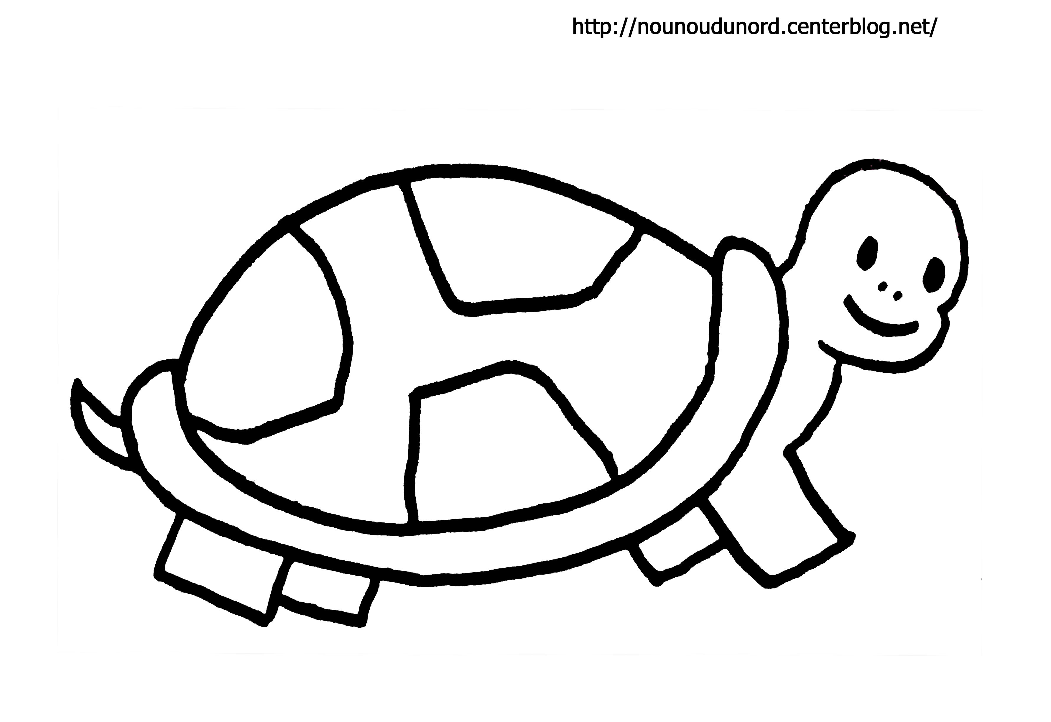 Coloriage tortue À Imprimer Élégant tortue 66 Animaux – Coloriages à Imprimer