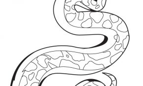 Coloriage Totem Nouveau Dessin De Serpent
