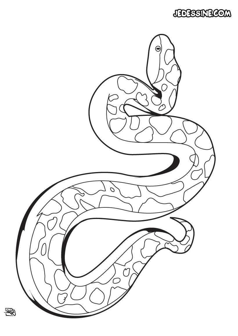 Coloriage totem Nouveau Dessin De Serpent