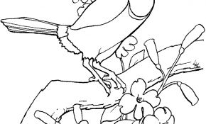 Coloriage Toucan Élégant New Page 9 [homepage Eir ]