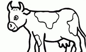 Coloriage Vache Élégant Vache 140 Animaux – Coloriages à Imprimer