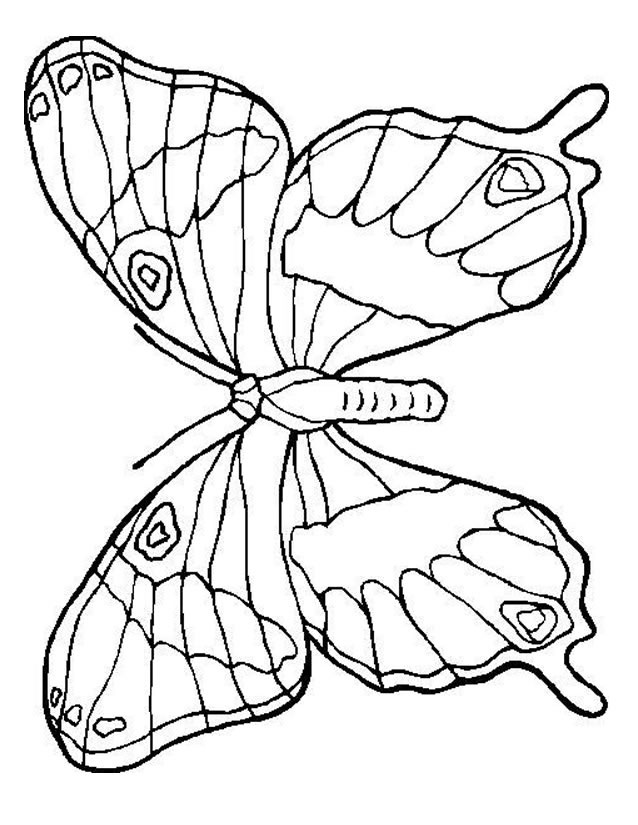 Coloriage Vaiana A Imprimer Gratuit Génial Coloriage Papillon à Imprimer Gratuitement
