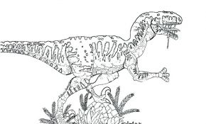 Coloriage Velociraptor Frais Jurassic World Raptor Coloring Pages At Getcolorings