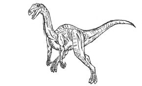 Coloriage Velociraptor Unique Coloriage Jurassic Park 70 Dessin