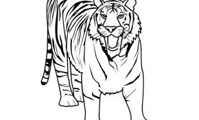 Coloriage Zoo Luxe Zoo 135 Animaux – Coloriages à Imprimer