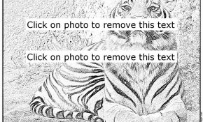 Coloriage Zoo Nice Coloriage Zoo Check Out Coloriage Zoo Cntravel
