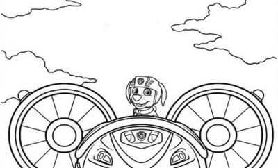 13 Parfait Coloriage Zuma Pat Patrouille Pics  COLORIAGE