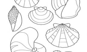 Coquillage Coloriage Nice Coloriage De Coquillage Frais Coloriage Coquillages