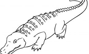 Crocodile Coloriage Génial Crocodile A Imprimer Colorier Les Enfants Marnfozine