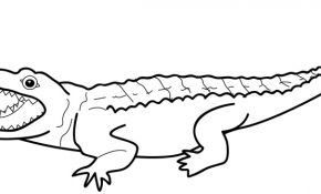 Crocodile Coloriage Unique Crocodile 8 Animaux – Coloriages à Imprimer