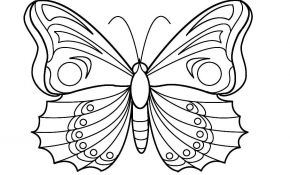Dessin A Imprimer Luxe Dessin De Coloriage Papillon à Imprimer Cp