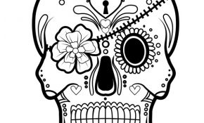Dessin De Halloween Inspiration Coloriage Squelette Halloween Pirate Jecolorie