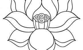 Dessin Fleur De Lotus Inspiration Coloriage Belle Fleur De Lotus Sur Hugolescargot