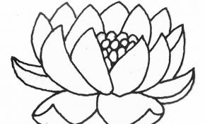 Dessin Fleur De Lotus Unique Fabriquer Un Abat Jour Nénuphar