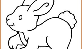 Dessin Lapin Facile Luxe Coloriages Animaux Page 3