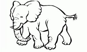 Éléphant Coloriage Frais Coloriage Elephant Les Beaux Dessins De Animaux à