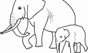 Elephant Coloriage Nice Éléphant 21 Animaux – Coloriages à Imprimer