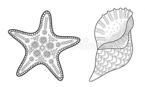 Etoile De Mer Coloriage Nice Étoile De Mer Et Coquille Illustration De Vecteur Pour