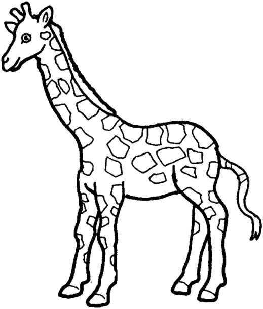 Girafe Coloriage Génial 114 Dessins De Coloriage Girafe à Imprimer