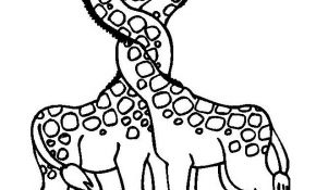 Girafe Coloriage Génial Coloriage Girafe à Imprimer Gratuitement