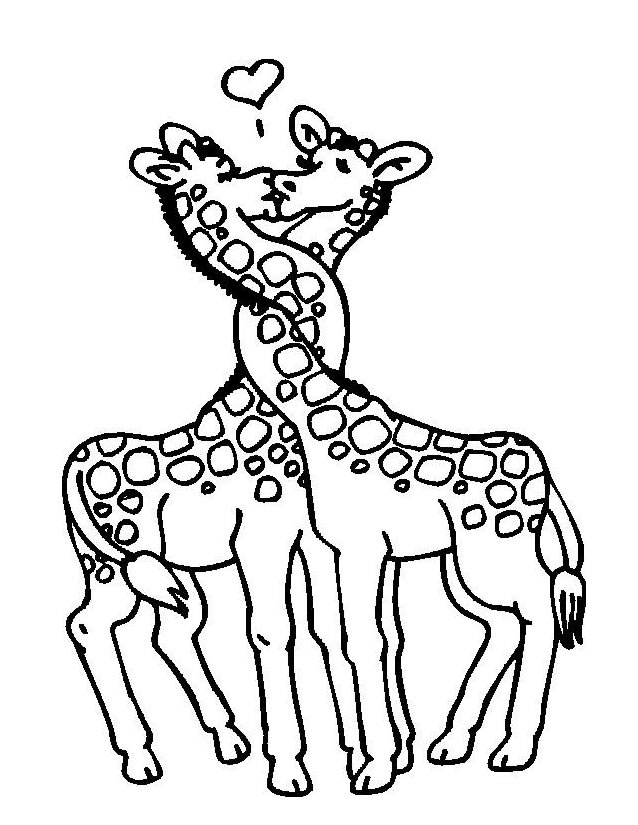 Girafe Coloriage Génial Coloriage Girafe à Imprimer Gratuitement