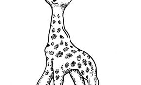 Girafe Coloriage Nice Sophie La Girafe Dessin
