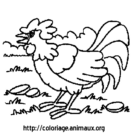 Herbe Coloriage Élégant Coq Dans L Herbe Coloriage Coq Dans L Herbe Sur