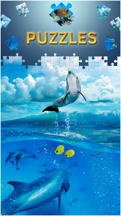 Jeux De Dofin Inspiration Jeux Info De Dauphin