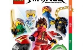Jeux De Ninjago Luxe Lego Ninjago Masters Of Spinjitzu Le Carnet De Jeux