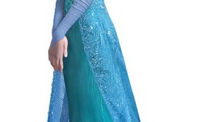 La Reine Des Neiges Elsa Élégant Frozen Princess Elsa Disney Character Profile