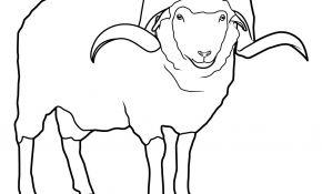 Le Coloriage Meilleur De Coloriage Mouton Les Beaux Dessins De Animaux à Imprimer
