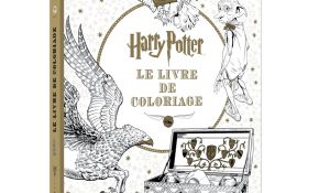 Livre De Coloriage Nice Un Livre De Coloriage Harry Potter