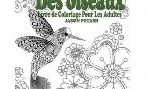 Livre De Coloriage Pour Adulte Unique Des Oiseaux Livre De Coloriage Pour Les Adultes Walmart
