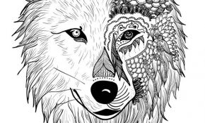 Loup Coloriage Élégant Les 23 Meilleures Images Du Tableau Zen Sur Pinterest
