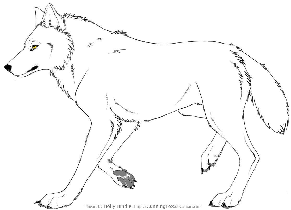 Loup Coloriage Génial Coloriages à Imprimer Loup Numéro