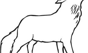 Loup Coloriage Nice Dessin Loup Keith Haring