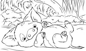 Moana Coloriage Nice Pua Pet Pig From Moana Coloring Page