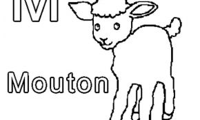 Mouton Coloriage Nice M Me Mouton Coloriage M Me Mouton En Ligne Gratuit