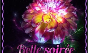Page Merveille Du Monde Nice Belle Soiree Bisous Fleur Image Gif Animé