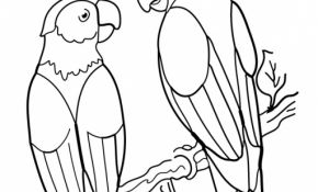 Perroquet Coloriage Élégant Perroquet 110 Animaux – Coloriages à Imprimer