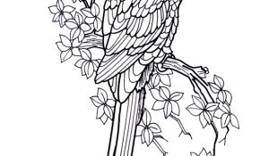Perroquet Coloriage Nouveau Dessin Très Réaliste D’un Perroquet Sur Une Branche à