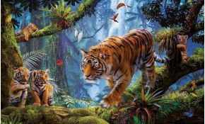 Puzzle Gratuit Animaux Meilleur De Educa Puzzle Adulte Tigre Et Bebes Tigres Dans La Foret