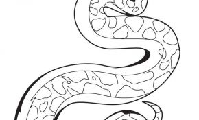 Serpent Coloriage Nice Serpent Totem Nature Pinterest