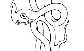 Serpent Coloriage Nouveau Serpent Coloriages De Serpents A Imprimer Toupty