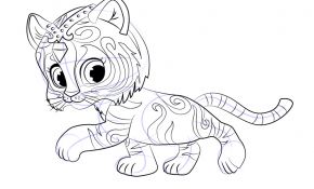 Shimmer Et Shine Coloriage Inspiration Learn How To Draw Nahal From Shimmer And Shine Shimmer