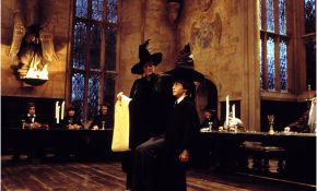 Sort Harry Potter Frais Harry Potter Sorting Hat Bath Bomb