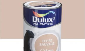 Terre De Couleur Frais Peinture Brun Terre Sauvage Dulux Valentine Crème De
